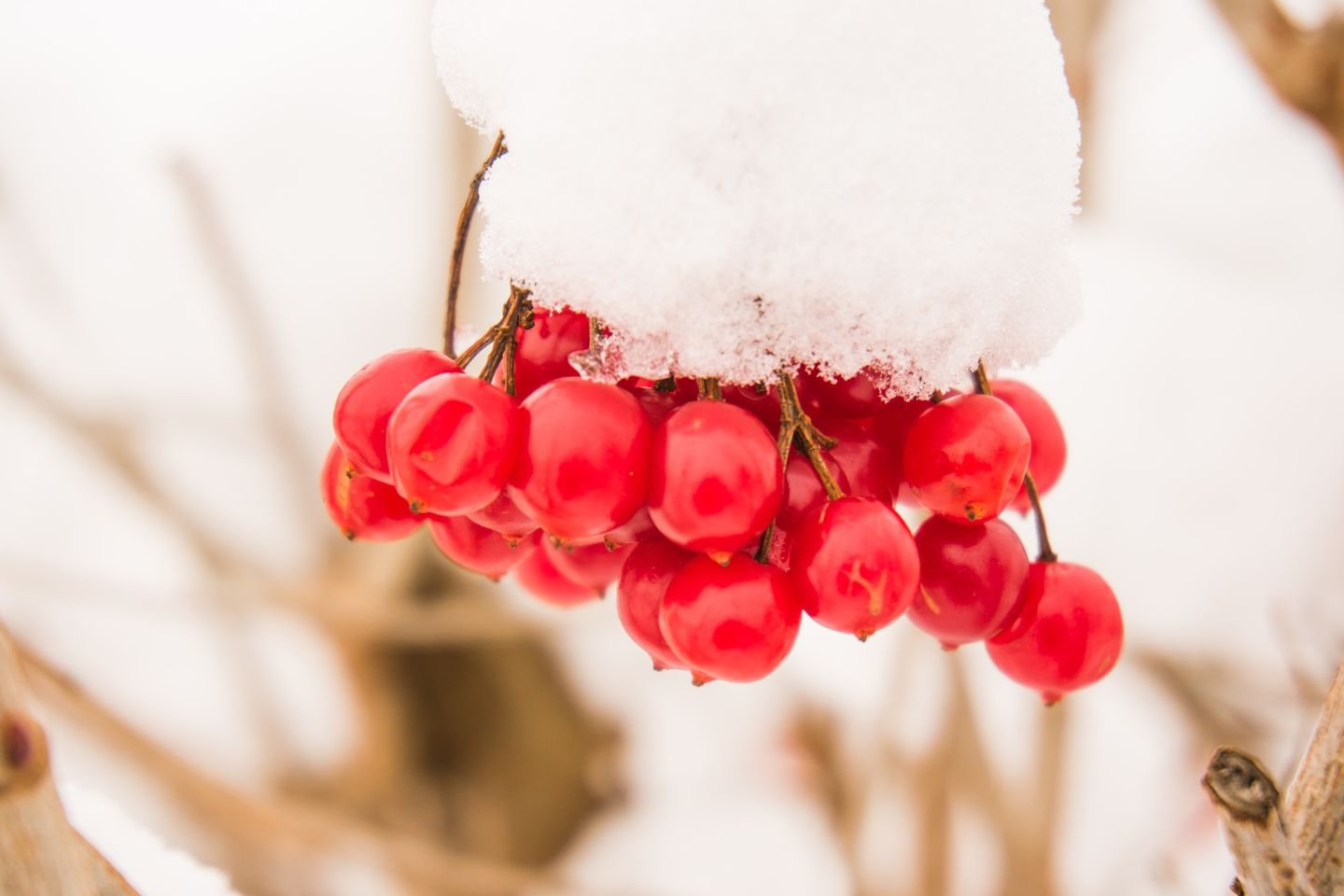 Weg met de winterdip 7 natuurlijke tips voor meer energie