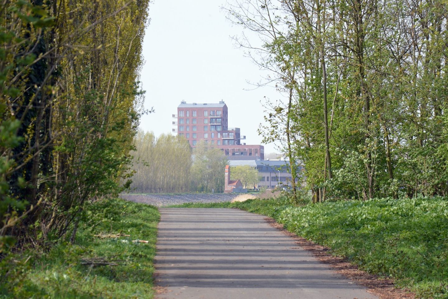 Wandelaars ontdekken Wetteren